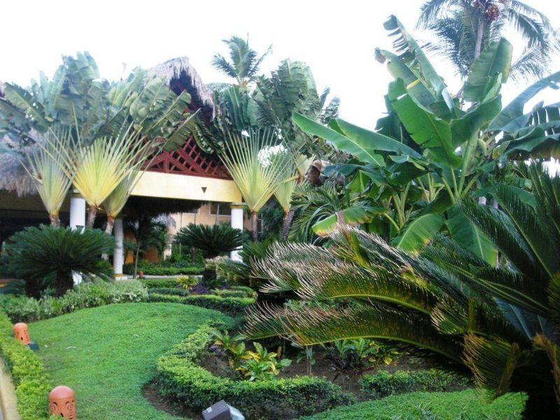 Vik Hotel Cayena Beach All Inclusive Punta Cana Eksteriør bilde